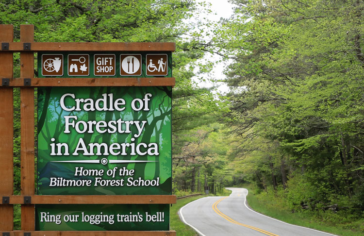 Photo of the sign leading in on the main road to the Cradle of Forestry.